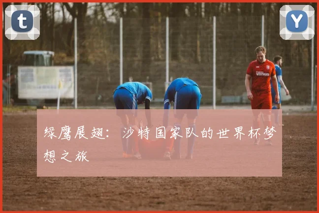 绿鹰展翅：沙特国家队的世界杯梦想之旅