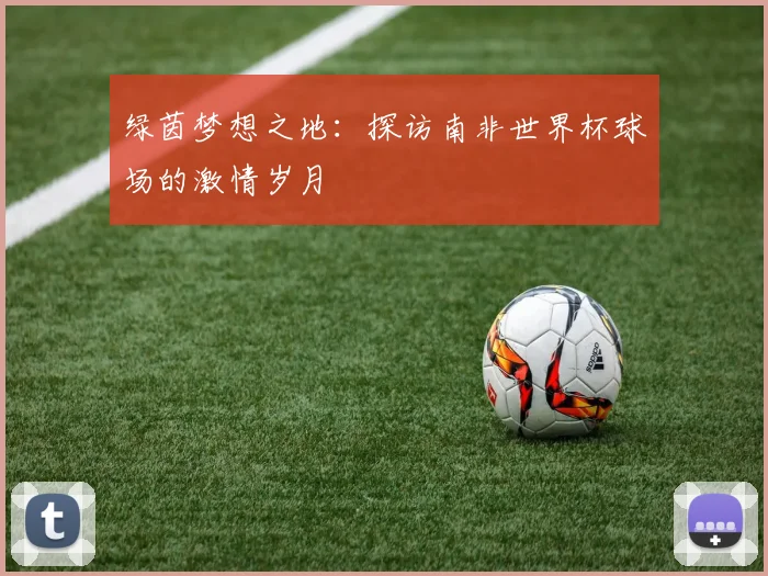 绿茵梦想之地：探访南非世界杯球场的激情岁月