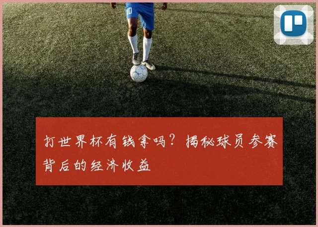 打世界杯有钱拿吗？揭秘球员参赛背后的经济收益