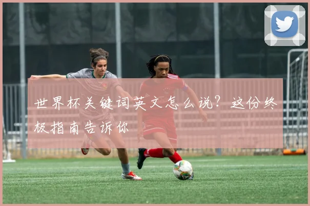 世界杯关键词英文怎么说?这份终极指南告诉你