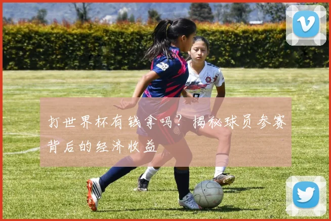 打世界杯有钱拿吗？揭秘球员参赛背后的经济收益