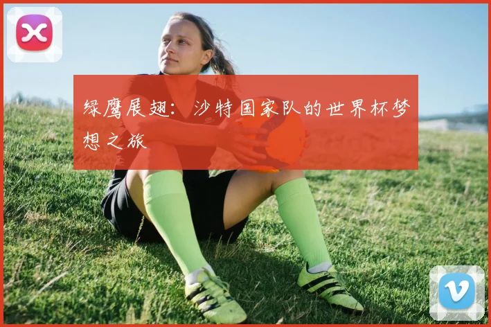 绿鹰展翅：沙特国家队的世界杯梦想之旅