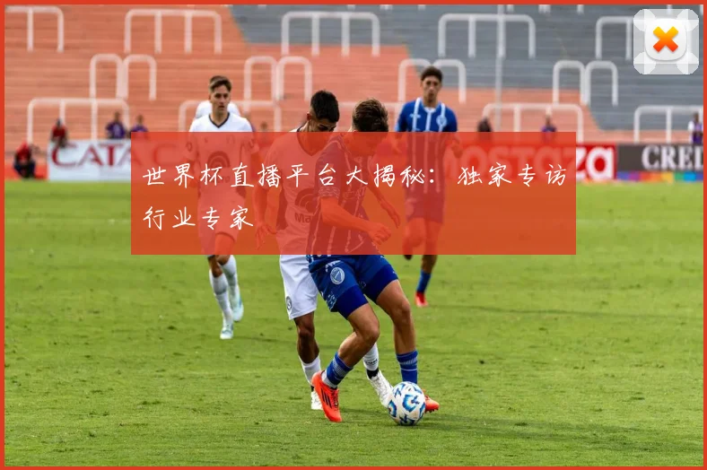 世界杯直播平台大揭秘：独家专访行业专家